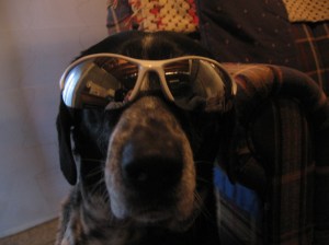 We said "Good-bye" to our dog, Sox.  She wanted to hide her tears, but she is with Keli & Steven (our renters), who take good care of her.