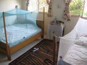 Beds with Mosquito Nets
